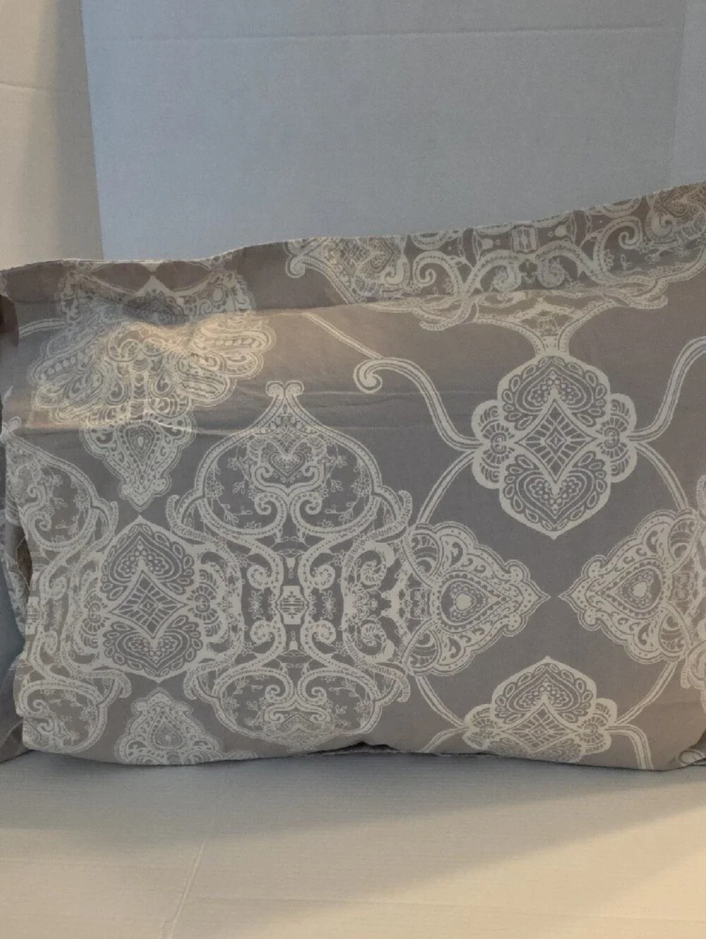 Pottery Barn Alana Medallion Taupe Ivory Ombre Cotton Standard Pillow Sham Set